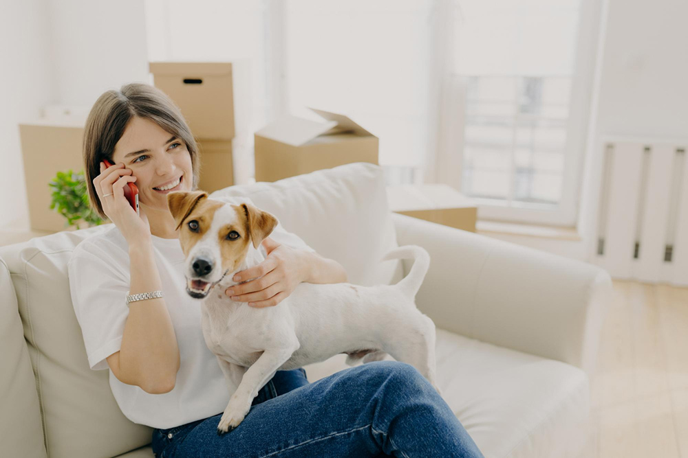 Keeping Your Pet Happy and Safe in your Apartment